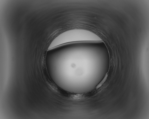 X0000085040092200703051033