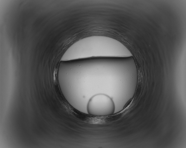 X0000085040094200703051034