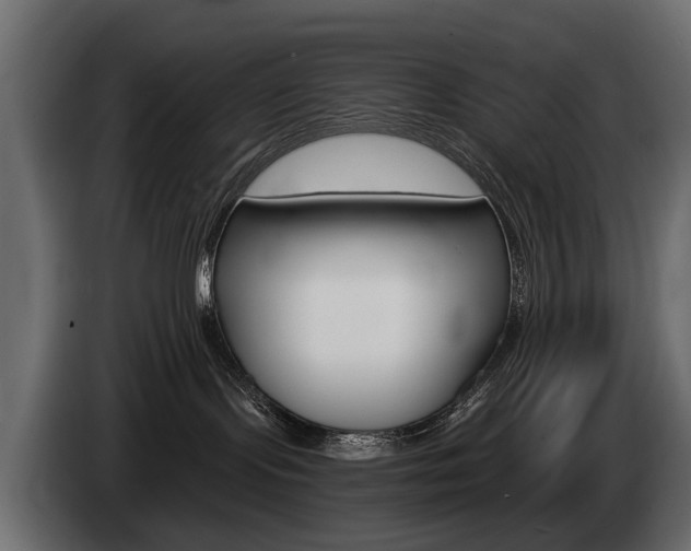 X0000085040095200703051034