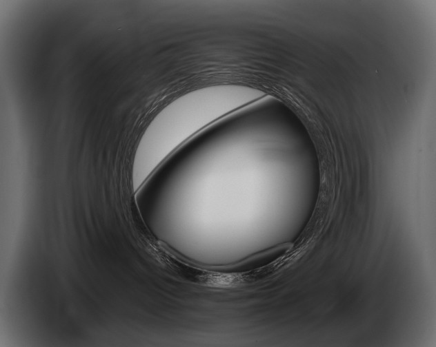 X0000085040096200703051034