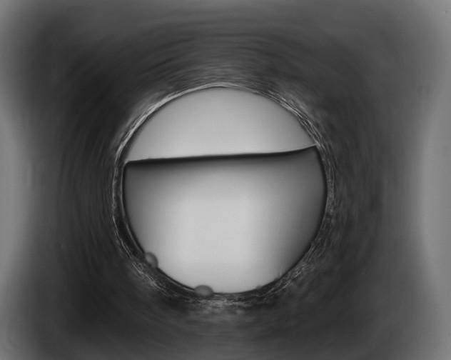 X0000085040098200703051033
