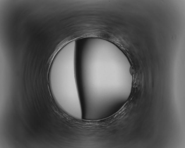 X0000085040099200703051033