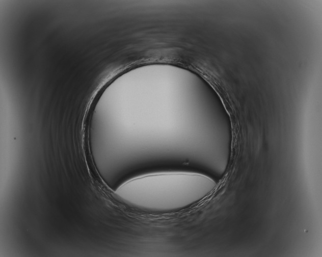 X0000085040100200703051033