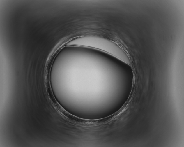 X0000085040101200703051033