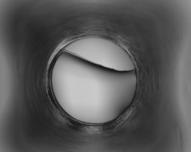 X0000085040102200703051033