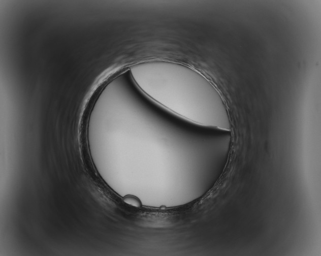 X0000085040104200703051033