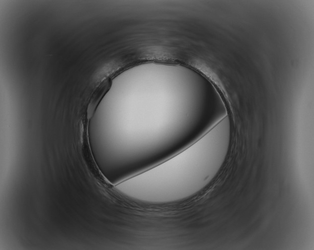 X0000085040109200703051033