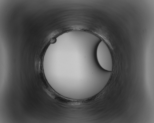 X0000085040110200703051033