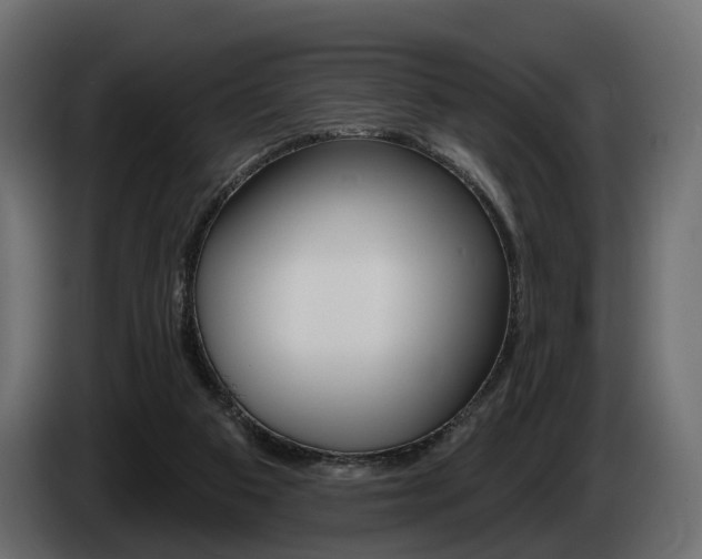X0000085040113200703051033