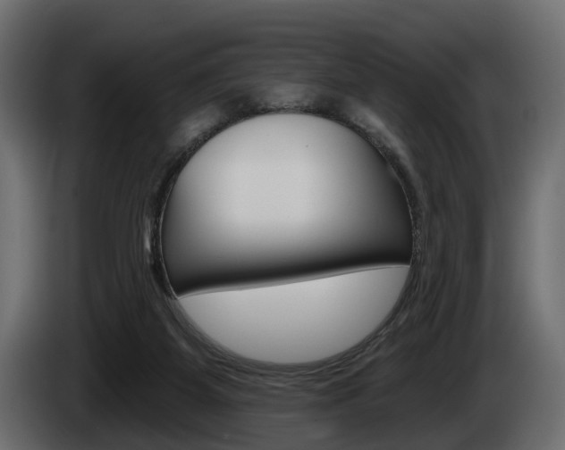 X0000085040115200703051033