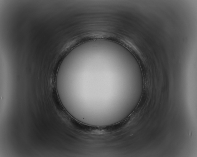 X0000085040119200703051033