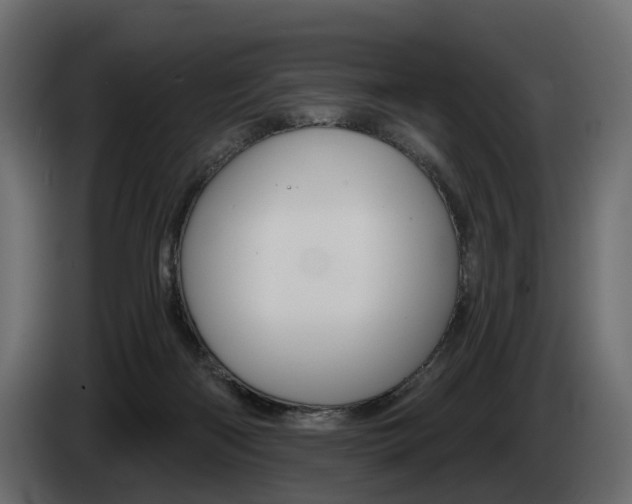 X0000085040122200703051033