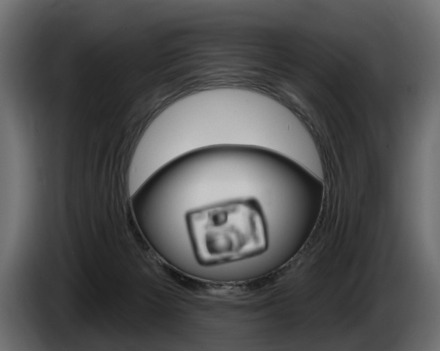 X0000085040125200703051033