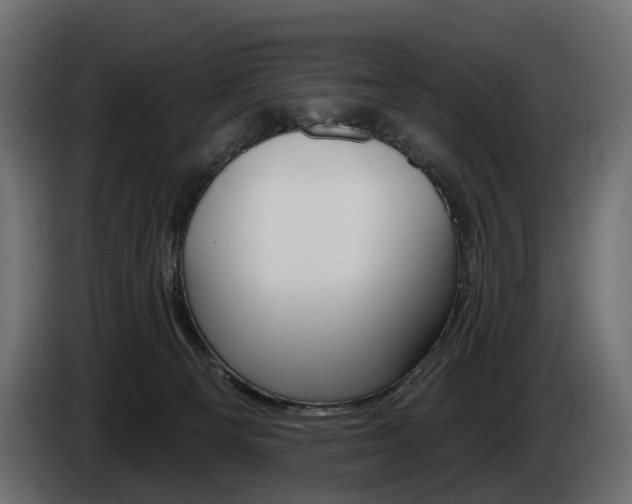 X0000085040129200703051033