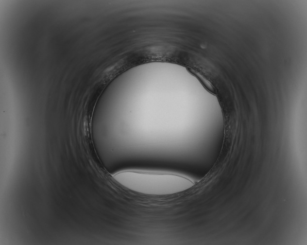 X0000085040137200703051032