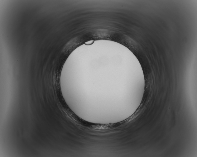 X0000085040140200703051032