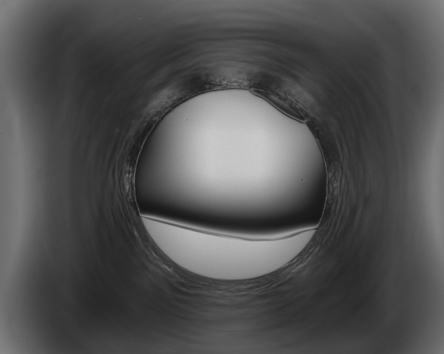 X0000085040141200703051032