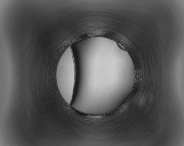 X0000085040143200703051032