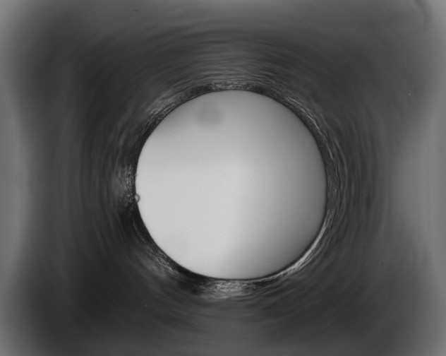 X0000085040144200703051032