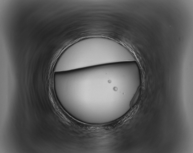 X0000085040145200703051032
