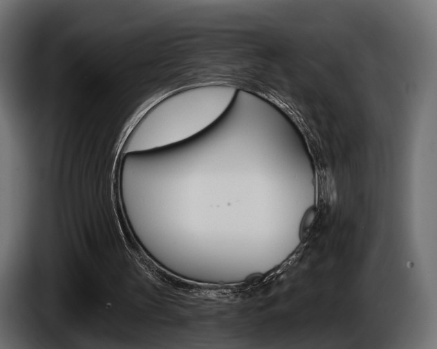 X0000085040147200703051032