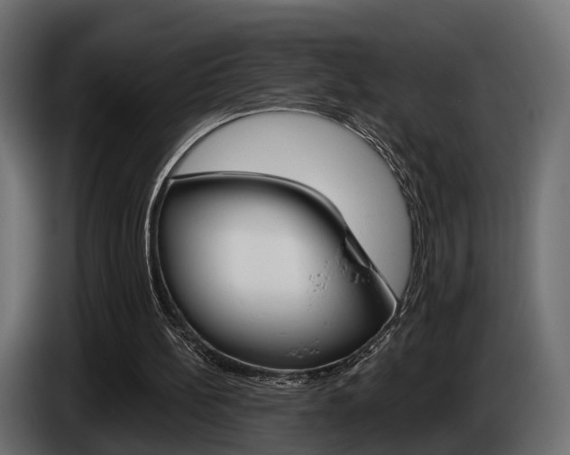 X0000085040148200703051032