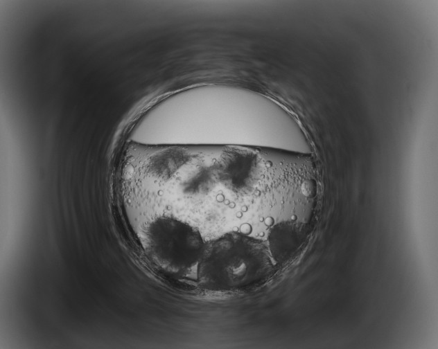 X0000085040149200703051032