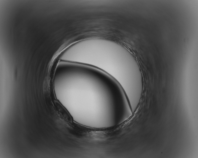 X0000085040150200703051032