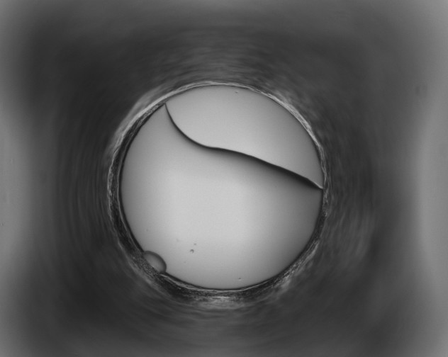 X0000085040151200703051032