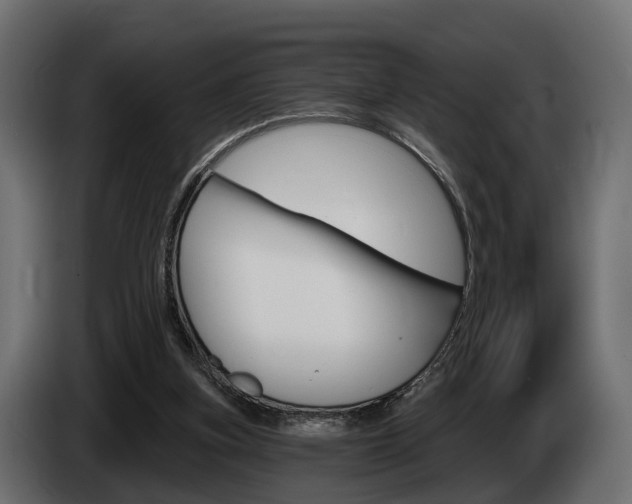X0000085040155200703051032