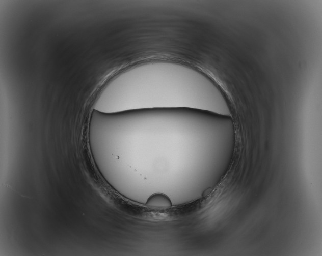 X0000085040159200703051032