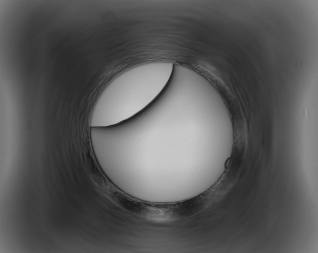 X0000085040167200703051032