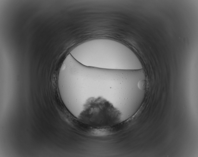 X0000085040171200703051032