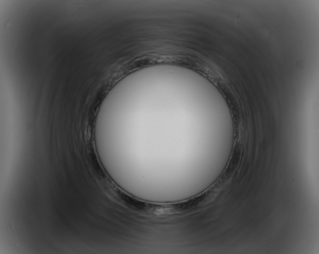 X0000085040173200703051032