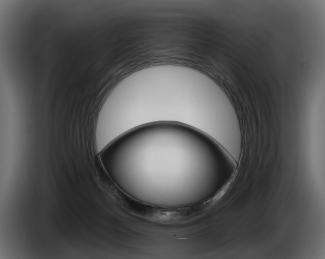 X0000085040174200703051032