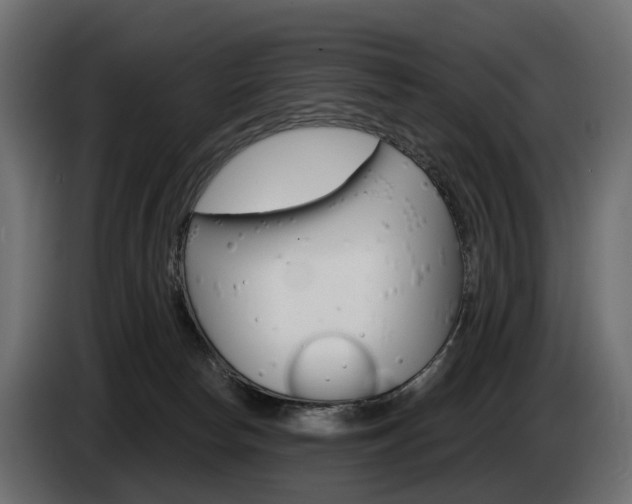 X0000085040178200703051032