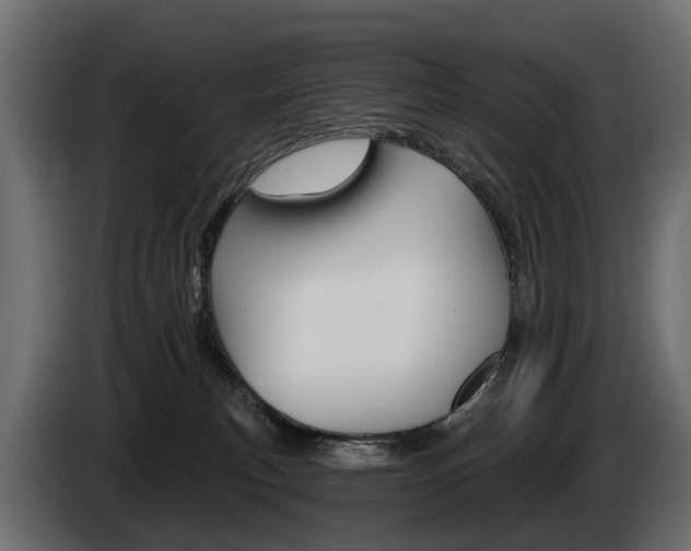 X0000085040183200703051032