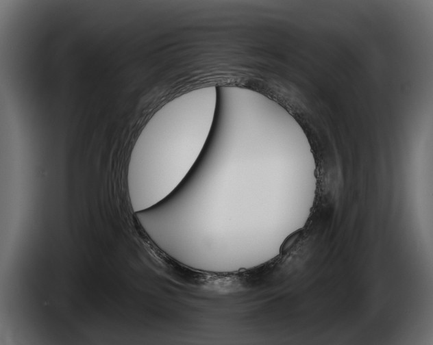 X0000085040185200703051032
