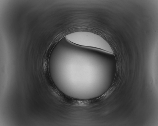 X0000085040188200703051032