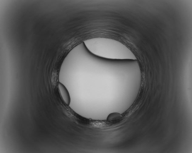 X0000085040189200703051032
