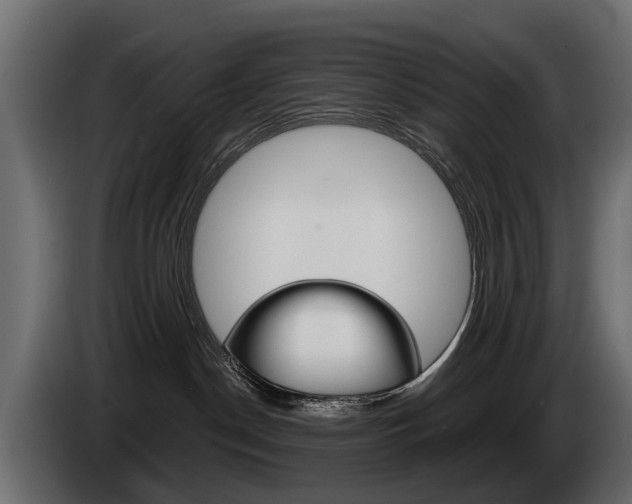 X0000085040190200703051032
