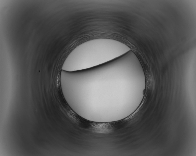 X0000085040191200703051032