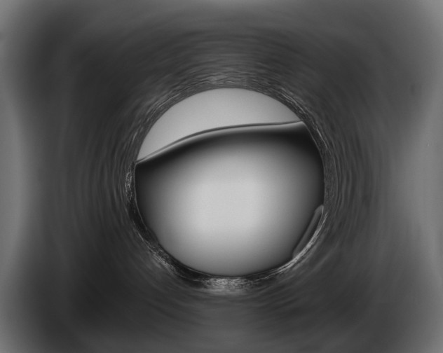X0000085040192200703051032