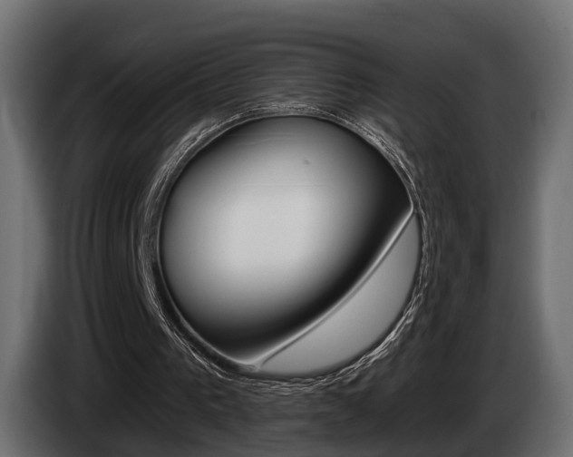 X0000085040193200703051032