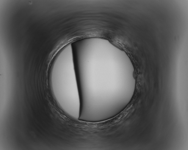 X0000085040194200703051032