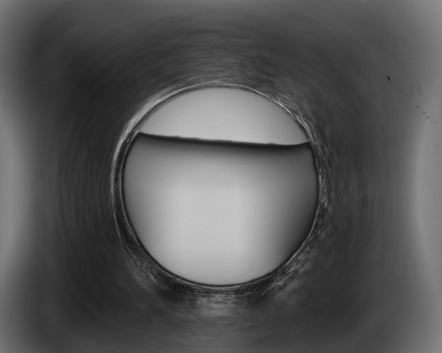 X0000085040196200703051032