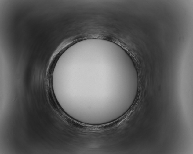 X0000085040198200703051032