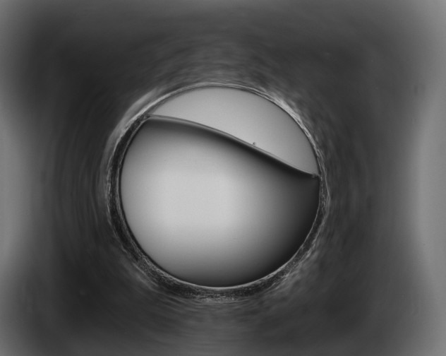 X0000085040199200703051032