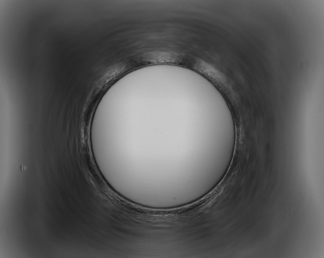 X0000085040202200703051032