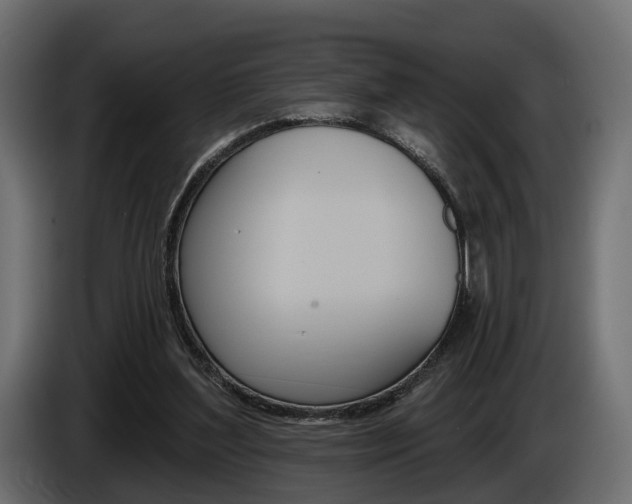 X0000085040204200703051032